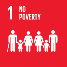 SDG 01 - No Poverty